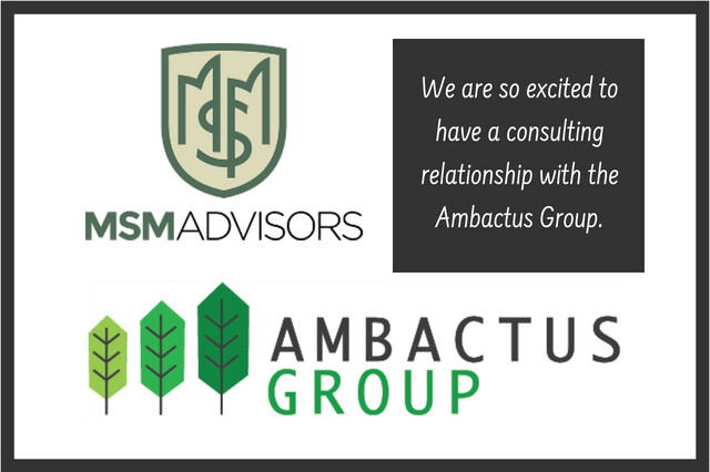 MSM Advisors Ambactus Group Consulting
